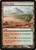 Shivan Oasis (65) (DDE)
