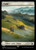 Plains // Plains (21) (REX)
