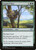 Squirrel Nest (182) (MH1)