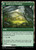 Disciple of Freyalise // Garden of Freyalise (250) (MH3)