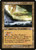 Blighted Woodland (Retro Frame - 405) (TSR)