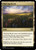 Thriving Heath (431) (CMM)