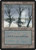 Snow-Covered Swamp (372) (ICE)