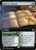 Monster Manual // Zoological Study (Extended Art - 591) (CLB)