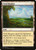 Vivid Meadow (293) (C17)