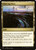 Thriving Moor (271) (AFC)