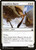Expedition Raptor (92) (BBD)