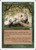 Familiar Ground (228) (6ED)