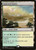 Scattered Groves (247) (AKH)