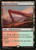 Sheltered Thicket (248) (AKH)