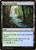 Thornwood Falls (313) (ELD)