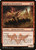 Kolaghan Forerunners (144) (DTK)