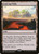 Evolving Wilds (248) (PTKDF)