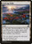 Evolving Wilds (247) (IKO)