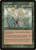 Fog Patch (104) (NEM)