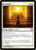 Sunbond (28) (BNG)