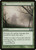 Fog (172) (M13)