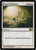 Planar Cleansing (24) (M10)