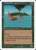 Birds of Paradise (280) (5ED)