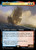 Jackdaw (Extended Art - 167) (ACR)