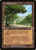 Exotic Orchard (Retro Frame - 185) (BRC)