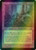 Hickory Woodlot (319) (foil, MMQ)