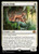 Ocelot Pride (38) (MH3)