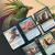 Secret Lair Drop: Summer Superdrop - Ornithological Studies