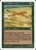 Hunting Cheetah (138) (PTK)
