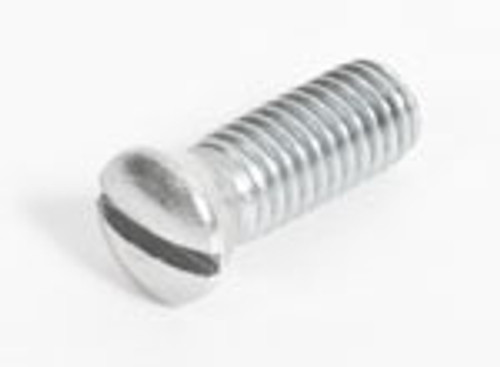 Striker Plate Screw