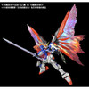 1/144 RG Destiny effect unit "Wings of Light"