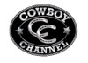 Custom "Cowboy Channel", 5' x 8', Printed Nylon with Header & Grommets; Based on QNTY 3