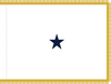 Navy Non-Sea Going Rear Admiral (Lower Half) Flag, Nylon Applique, 1 Star 3' x 4' Polehem and Gold Fringe, 7312023 (Open Market)