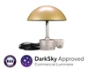 StarGazer Flagpole Downlight, Stationary Truck