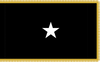 Space Force Brigadier General Flag, Nylon Applique, 1 Star Size 4' x 6' Polehem and Platinum Fringe