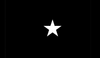 Space Force Brigadier General Flag, 1 Star Nylon Applique with Pole Hem, Size 3' X 5'