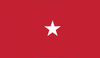 Army Brigadier General Flag, 1 Star Nylon Applique with Pole Hem, Size 4' x 6' (Open Market)