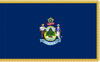 Maine Flag with Pole Hem and Gold Fringe