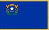  Nevada Presentation Flag & Flagpole Set 
