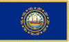 New Hampshire Flag with Pole Hem and Gold Fringe