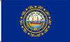 New Hampshire State Flag