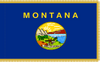 Montana Indoor State Flag