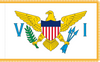 Virgin Islands Indoor State Flag