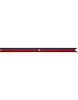 US Navy Battle Streamer Nicaraguan Campaign