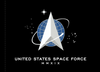 US Space Force Flag Nylon Applique, GSPEC (OM)