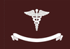 Army Named and Numbered Hospitals, Convalescent Centers and Named Medical Centers Flag, Appliqued Nylon with Pole Hem, size 3' x 4'