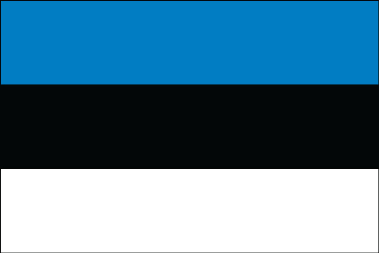 Estonia (UN) NS Outdoor Flag Nylon