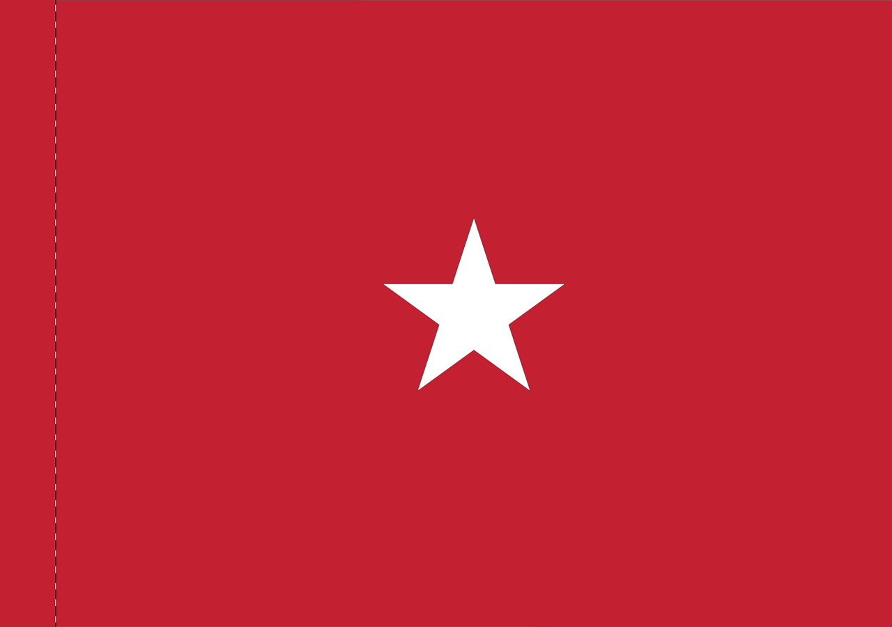 Army Brigadier General Flag, Nylon Applique, 1 Star 3' x 4' Polehem Plain, 7112022 (Open Market)