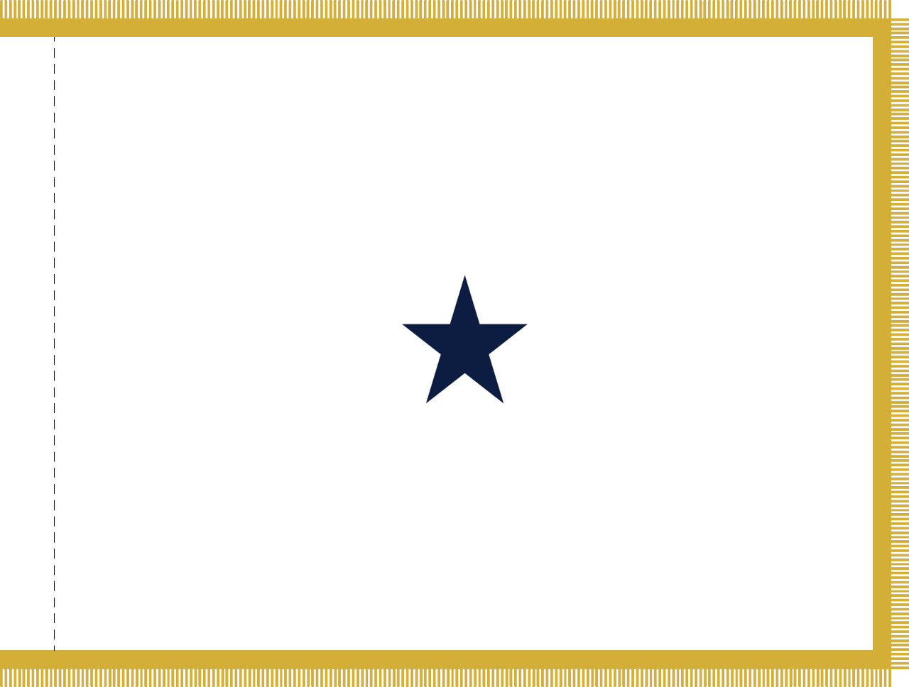 Navy Non-Sea Going Rear Admiral (Lower Half) Flag, Nylon Applique, 1 Star 3' x 4' Polehem and Gold Fringe, 7312023 (Open Market)