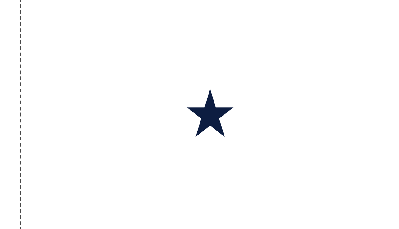 Navy Non-Sea Going Rear Admiral (Lower Half) Flag, Nylon Applique, 1 Star 4' x 6' Polehem Plain, 7312092 (Open Market)